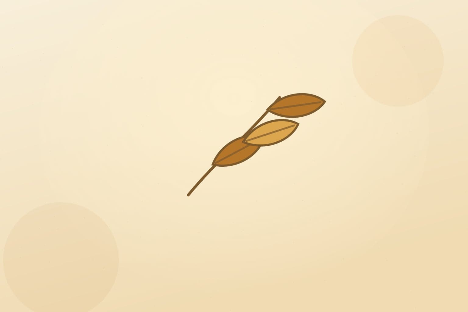 Editorial illustration of rolled oolong leaves unfurling
